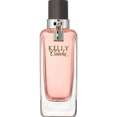 kelly caleche by hermes review